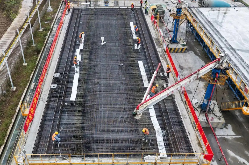 1765252232042 图片5