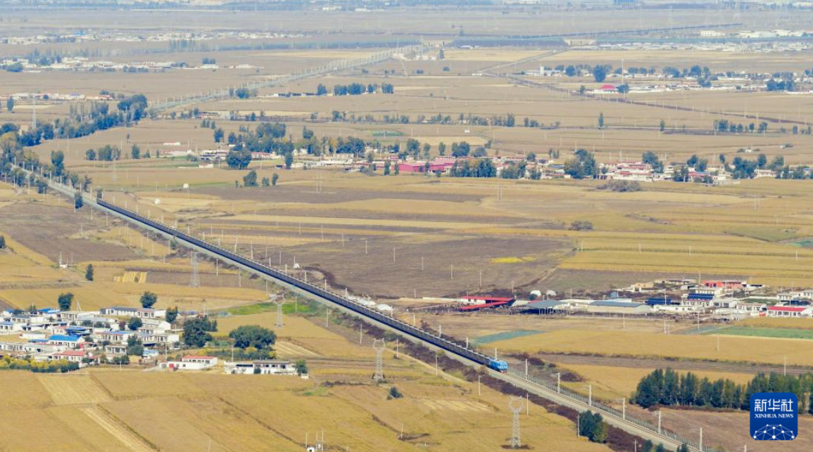 1768462549822 图片5